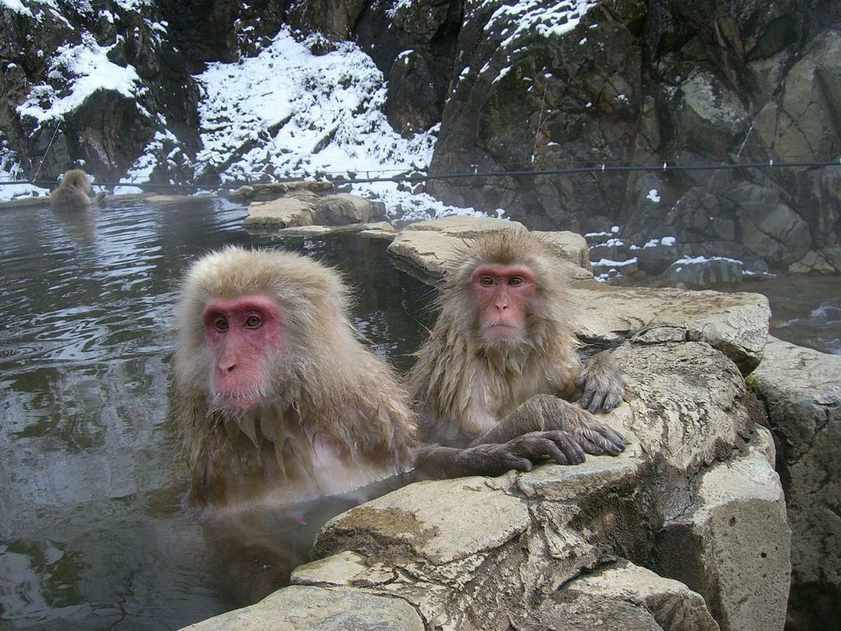 Hana Emi Kan Hakuba Bagian luar foto